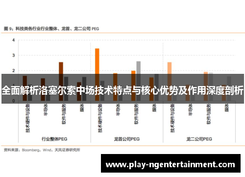 全面解析洛塞尔索中场技术特点与核心优势及作用深度剖析