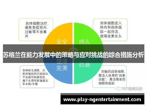 苏格兰在能力发展中的策略与应对挑战的综合措施分析